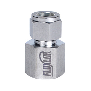 Lok Fitting NPT / PT Female Connector